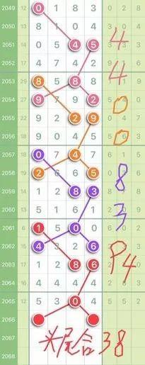 探索新澳好彩，免费资料查询与水果奶奶的奇妙之旅澳彩彩民高手心水主论坛