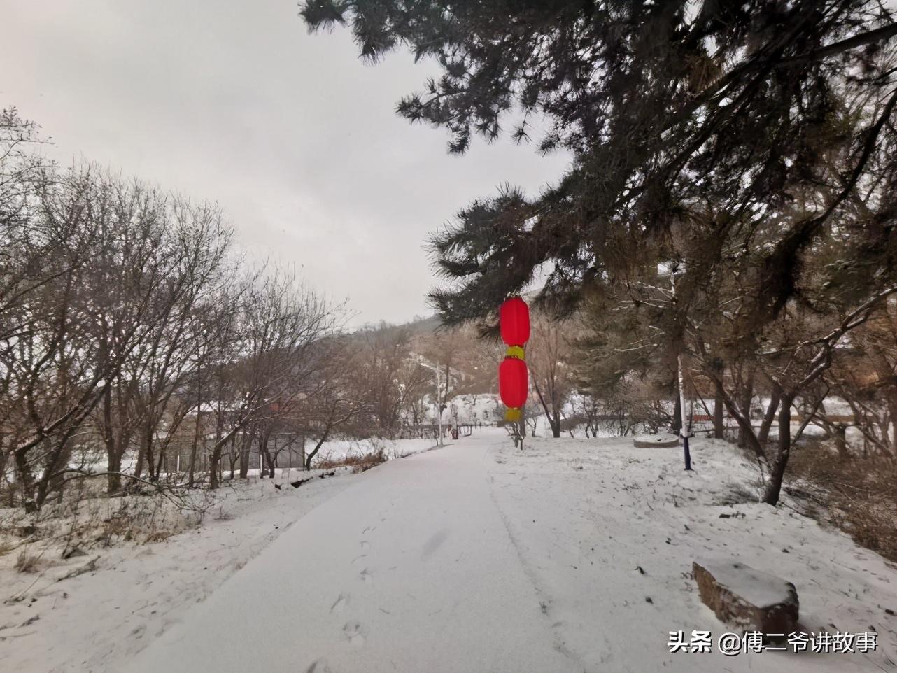 揭秘白小姐三期必中一码，理性与迷信的边界白小姐三期选一肖期期准