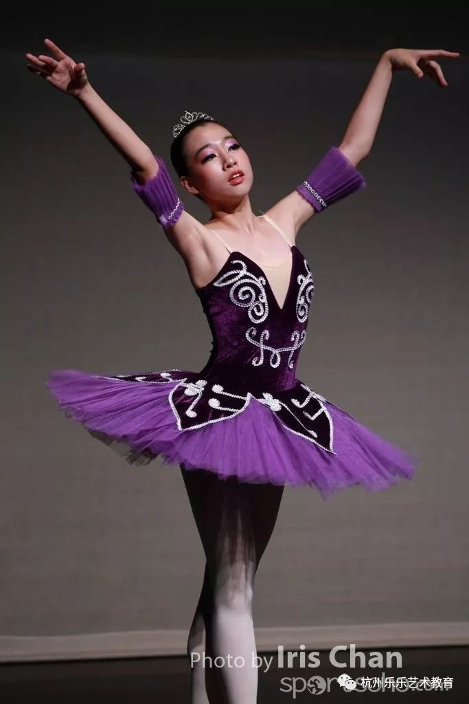 2019年香港开奖记录，回顾与解析2019年香港开奖记录