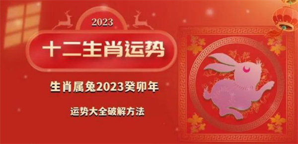 管家婆精选二肖，揭秘数字背后的玄机管家婆两肖两码
