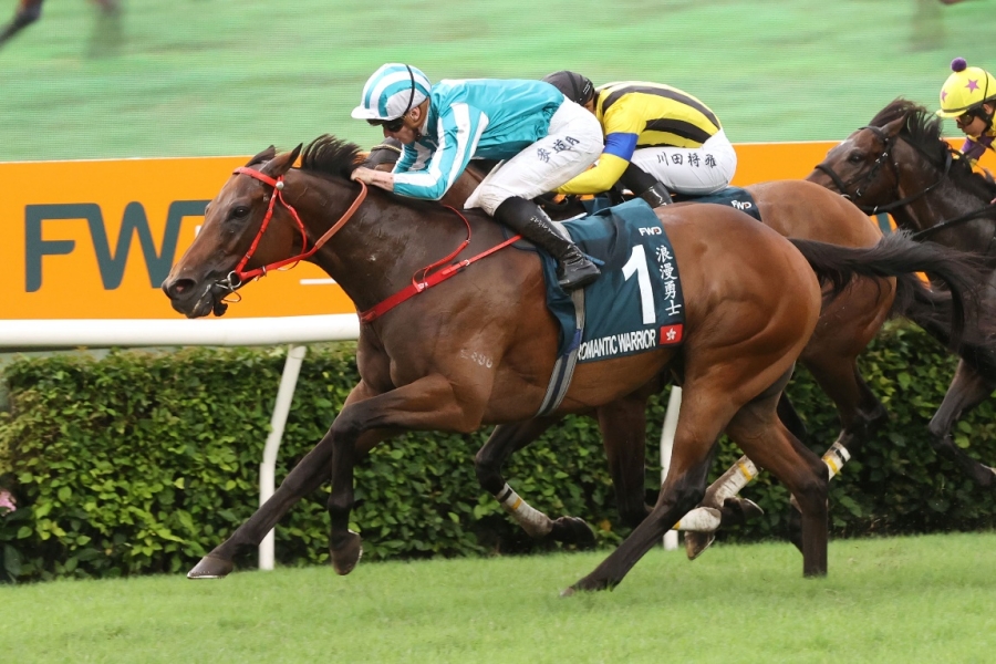 2019香港马会资料大全，免费探索赛马的魅力与精彩香港2021年马会资料大全