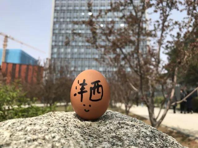 探秘香港开奖直播，一场融合现实与小说的奇妙之旅香港码今期开奖结果