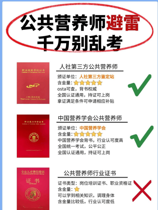 探索新澳204，全面解析与免费资源指南2021年澳门资料大全正版资料354