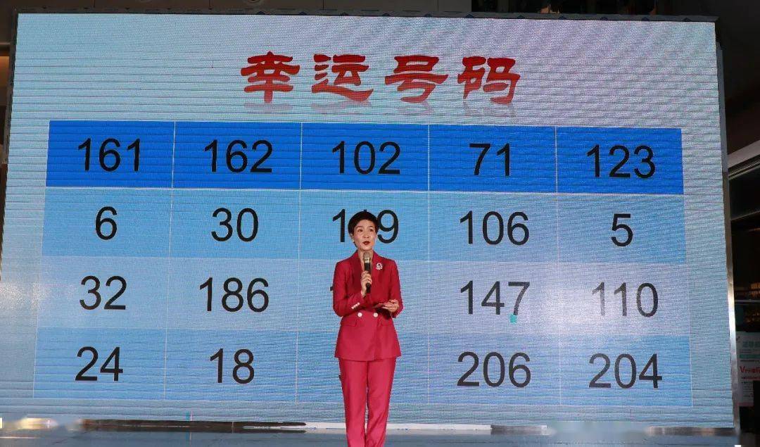 今晚特马揭秘，数字游戏中的幸运密码今晚特马多少期