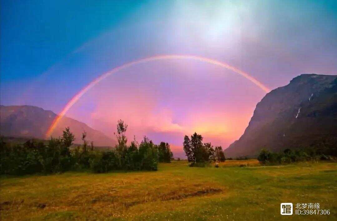 彩虹心水论坛，网络交流的色彩斑斓之地355555彩虹心高论坛