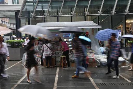 2019年香港正版资料全集，揭秘与反思2021香港正版资料全集2021年最新版下载