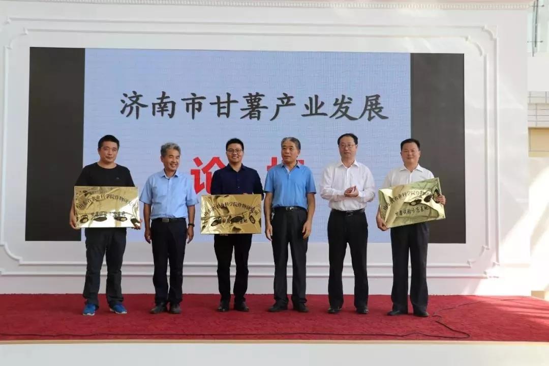 雷锋高手论坛，互联网时代的公益新风尚雷锋高手论坛2024年更新时间
