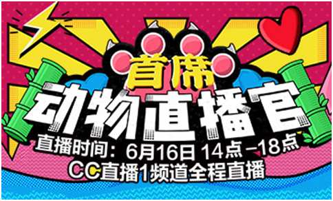 探索香港最怏开奖现场直播与历史记录，一场数字游戏的魅力香港最快开奖直播现场开奖记录