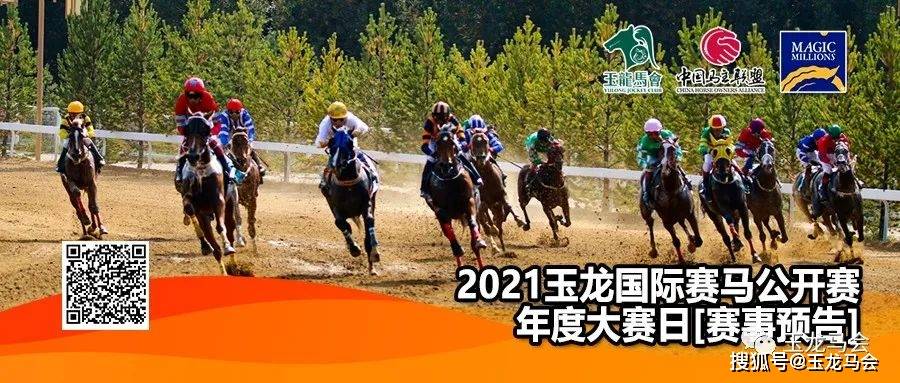 1326.com马会传真论坛，线上赛马的智慧与激情13262马会传真论坛最新版本更新内容