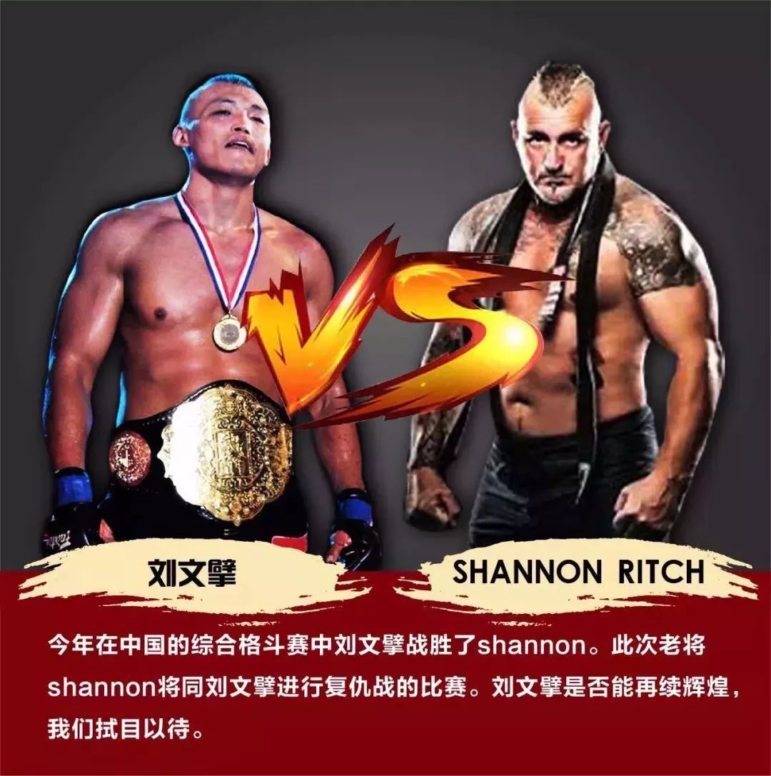 2014年WWE最新赛事，激情与荣耀的碰撞wwe2014年的比赛