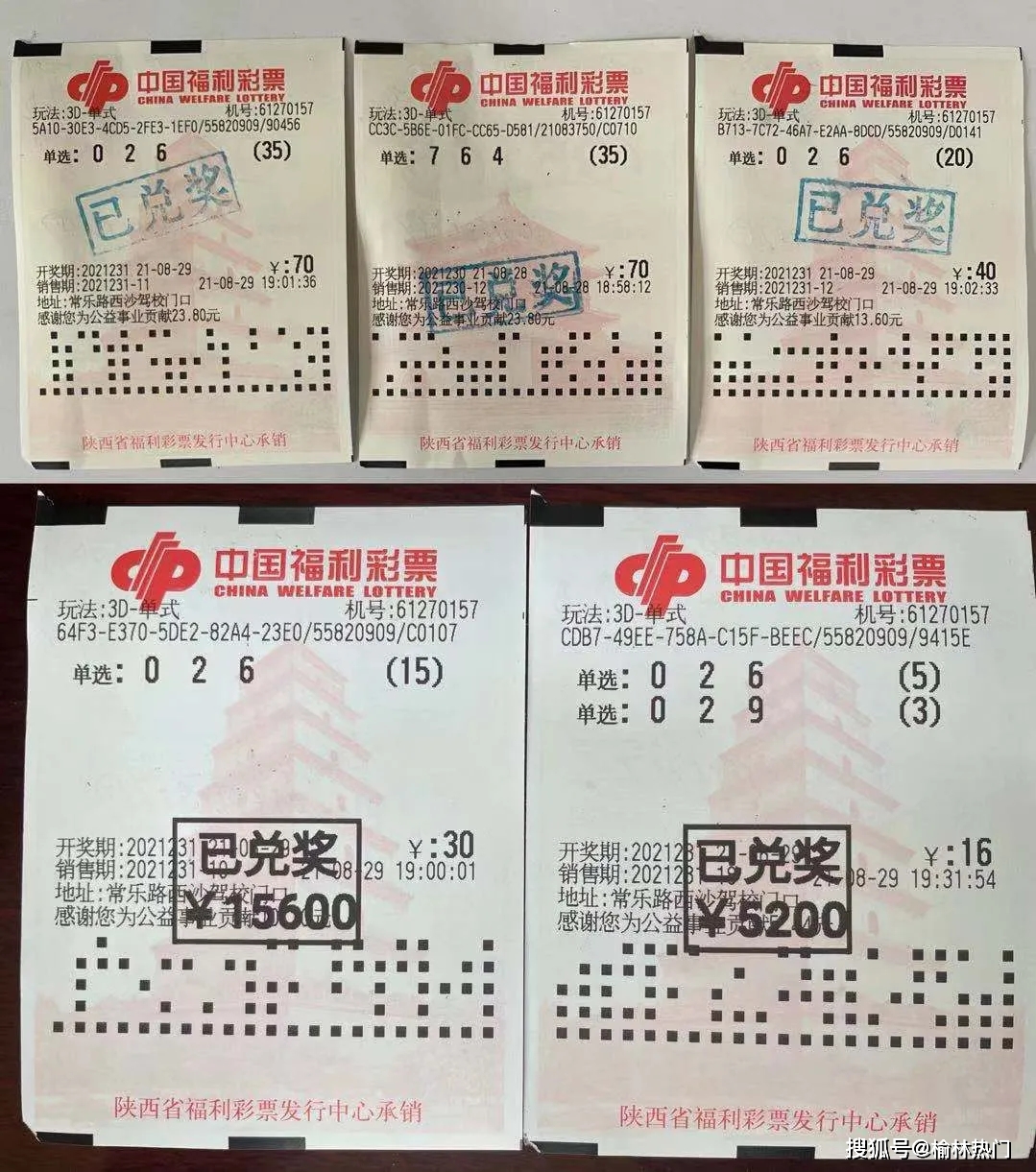 澳门一码、生肖与中奖的奇妙四不像澳门一码一肖一待一中四不像一