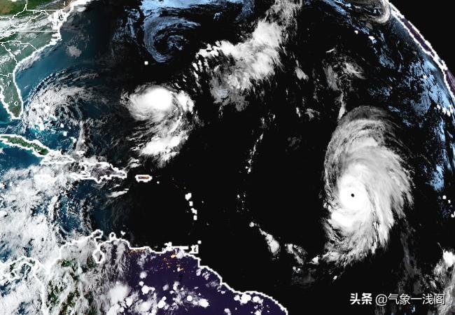 探索知识海洋，正版免费资料大全943的魅力与价值白小组正版免费资料大全