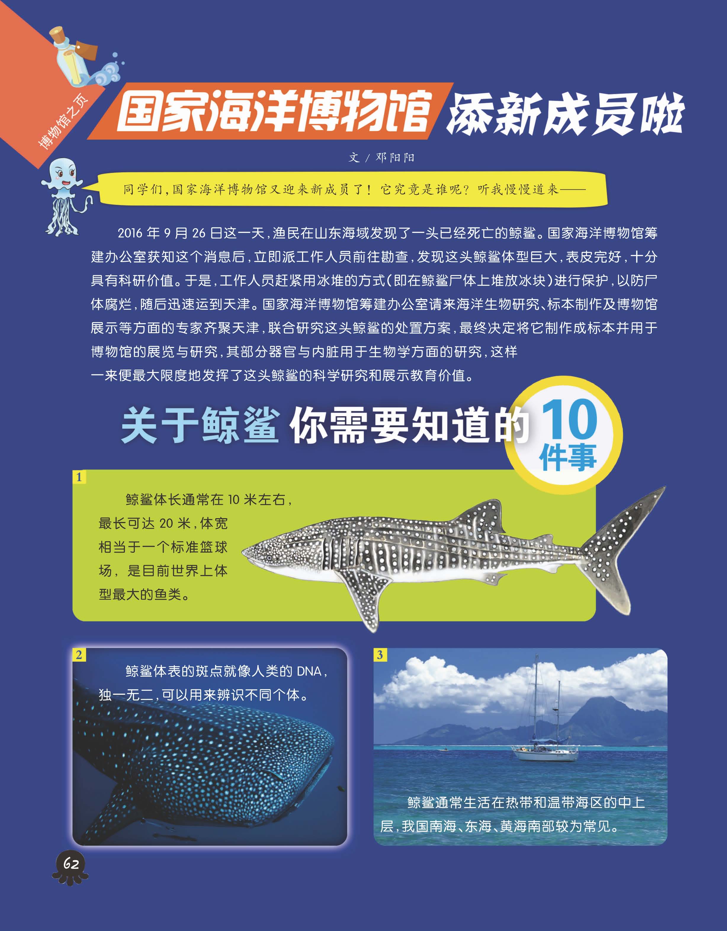 探索知识海洋，正版资料免费大全的无限可能正版资料免费资料大全精准版亮点