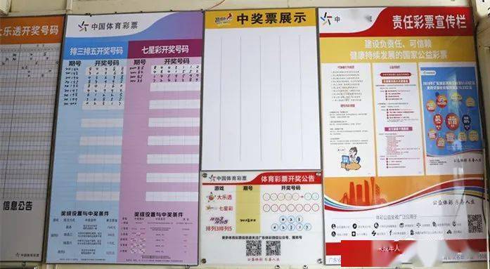 蓝姐三中三大揭秘，探寻彩票规律与理性投注的平衡蓝姐三中三高手论坛正网