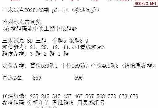 探索期四肖选一的奥秘，理性与直觉在彩票选择中的平衡期期四肖选一肖4949
