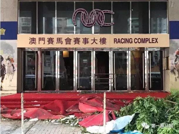 探索正版马会精选资料大全，提升赛马的智慧之选正版马会精选资料大全新闻