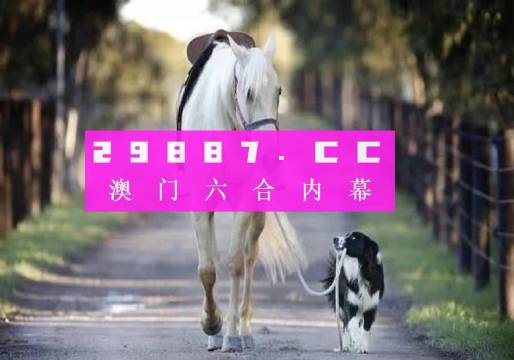 49码资料图库,解锁数字时代的编码奥秘49码资料图库网
