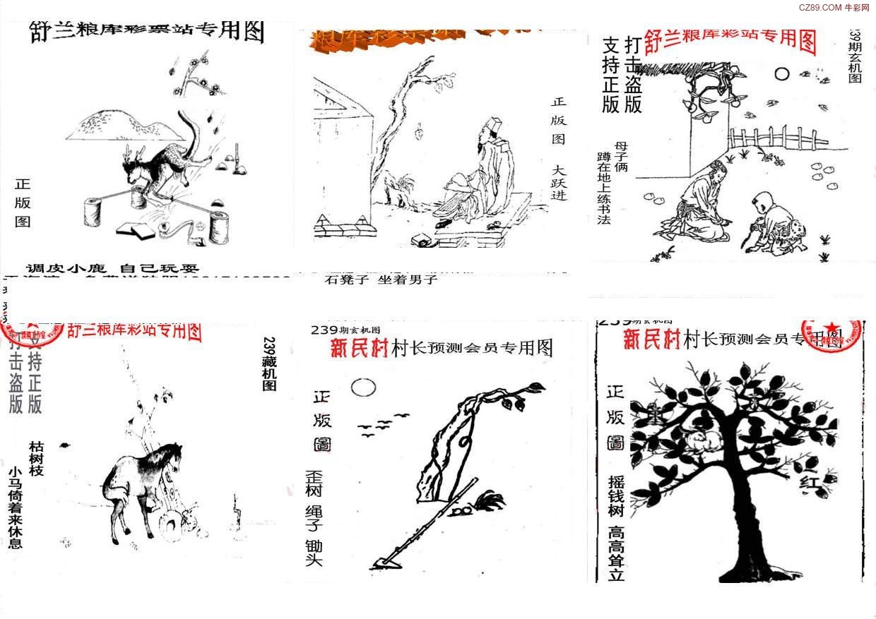 探索天牛3D图库，解锁创意与技术的无限可能天牛3d图库汇总大全图