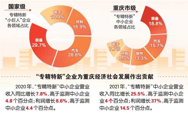 揭秘白小姐三肖，特期期的精准预测与理性分析