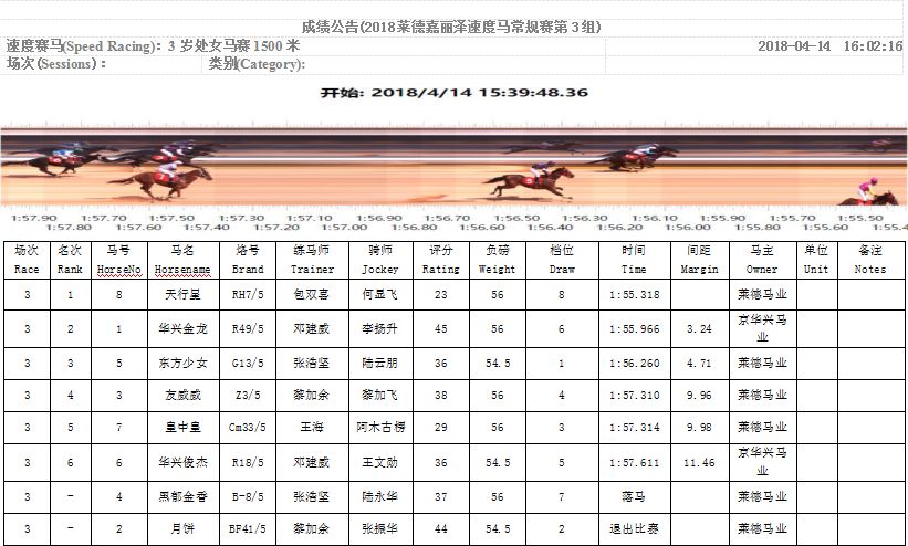 2019正版马会资料大全，揭秘赛马的魅力与策略2021马会资料精选免费大全