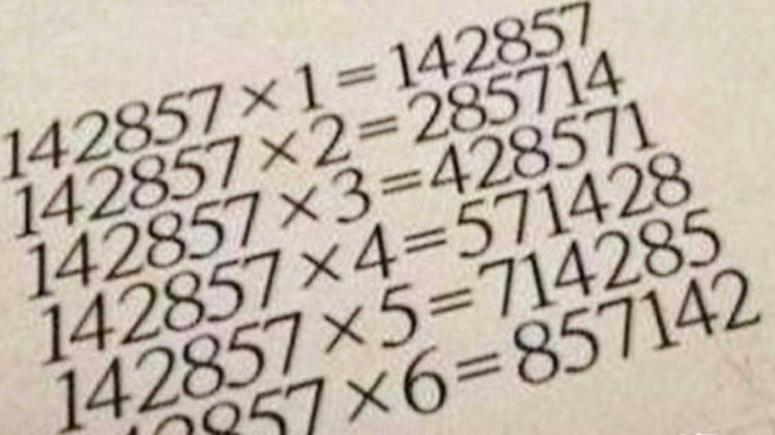 2019年六下资料，揭秘金牛网与数字的神秘联系123979网站金牛网
