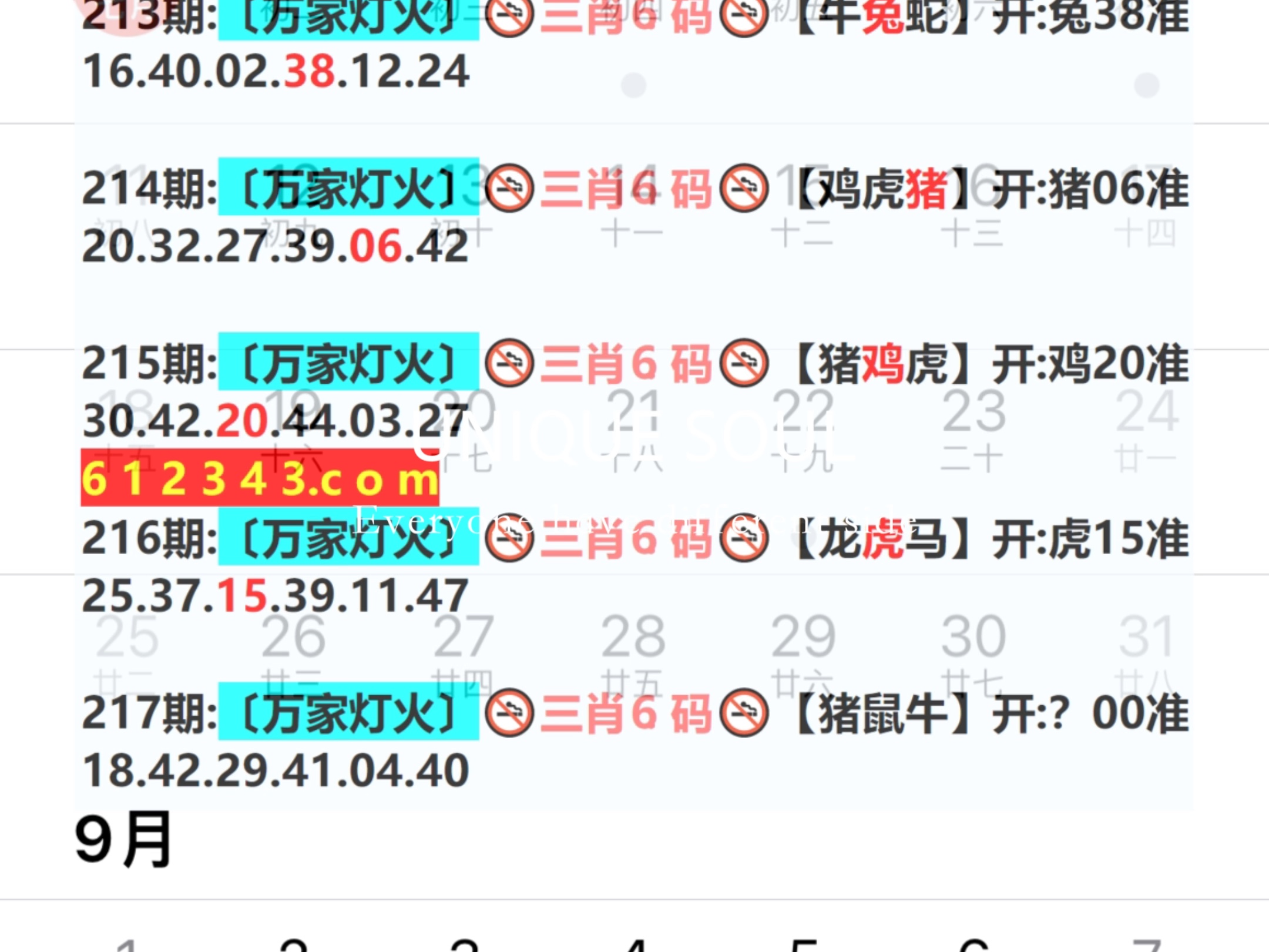 2046，新奥开奖记录的未来展望与思考2024新奥开奖记录新澳门今晚开结呆
