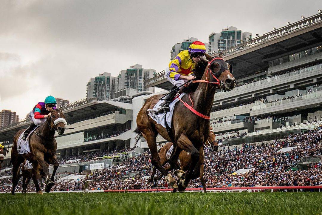 探索香港马会开结果直播现场的精彩瞬间
