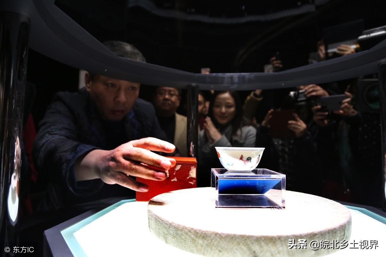 免费资料大全，正版下载的智慧之选免费资料大全正版下载