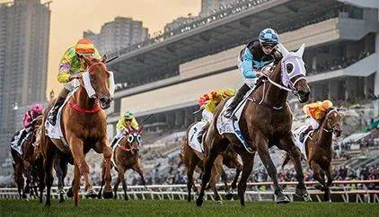 探索香港马会正版料大全2019，解锁赛马的智慧与乐趣香港正版马会免费资料大全