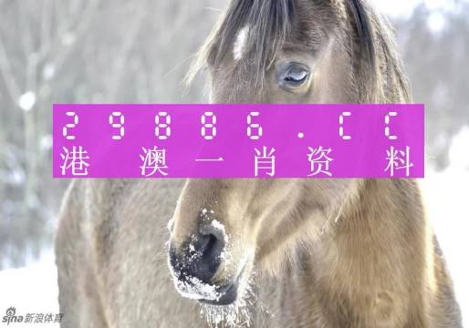 澳码精准10%一肖,揭秘最准的生肖预测澳码精准100%一肖一码最准肖4499