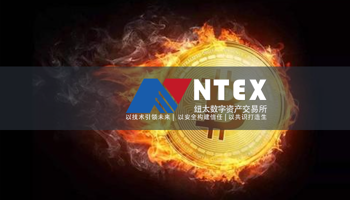 探索数字背后的奥秘，揭秘www.2935016874的神秘之旅