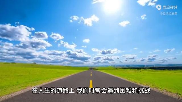 2048年澳门今晚生肖预测,理性与娱乐的边界2024澳门今天晚上开什么生肖啊鼠害怕是什么