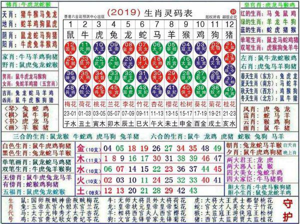 2048澳门正版资料大全，生肖卡揭秘与玩法指南澳门2021资料精选资料