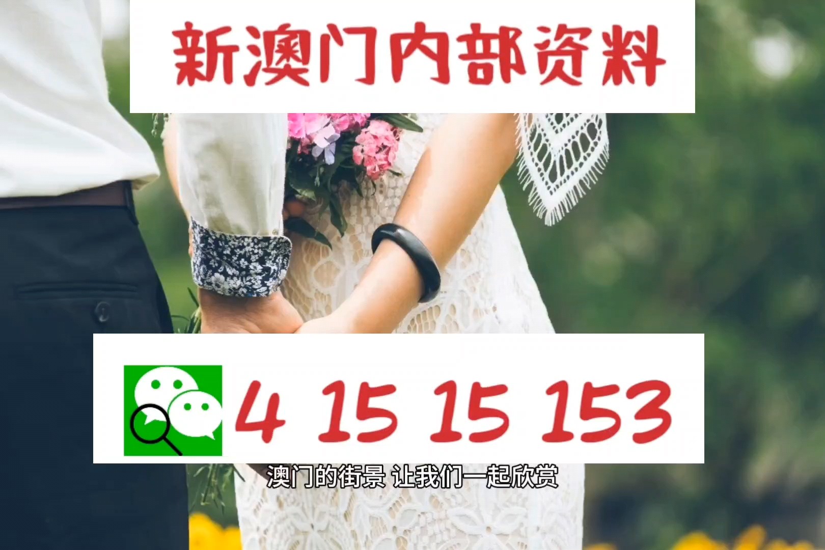 澳门最快最准的免费资料，揭秘与警示澳门最快最准的免费资料看2024