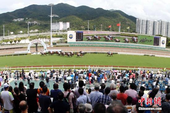 探索香港马会免费资料大全，解锁赛马的智慧与乐趣