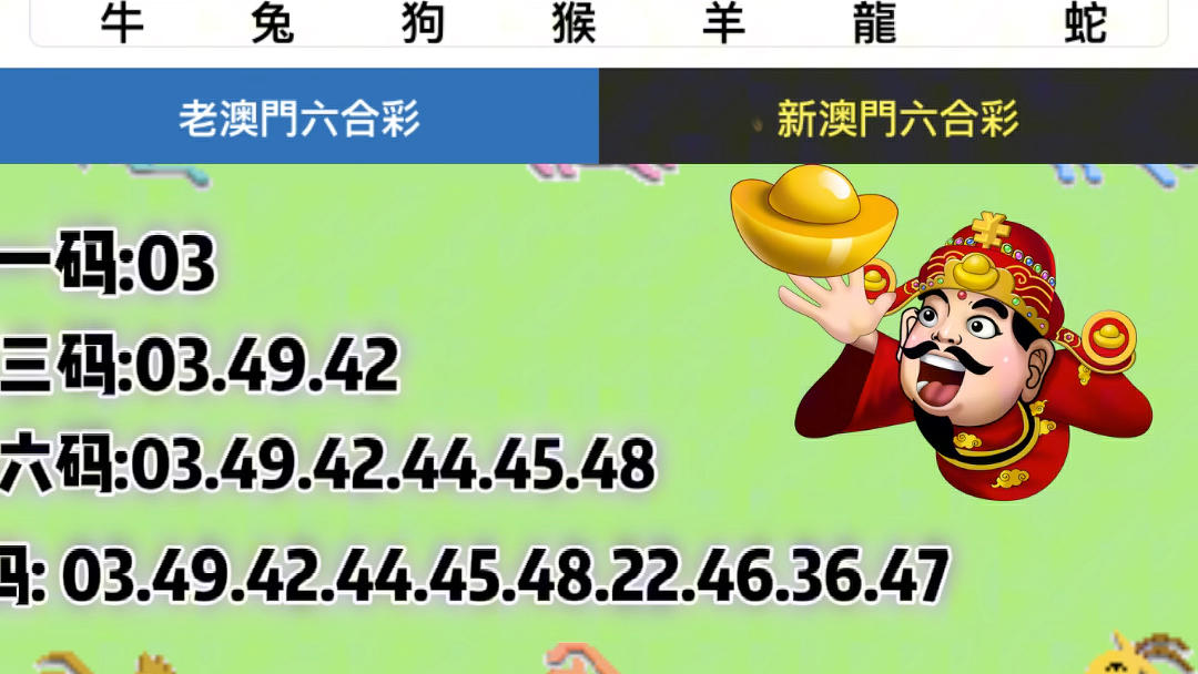 澳门六开彩，全年记录与数字背后的故事