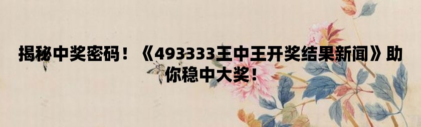 揭秘王中王的秘密，49325背后的故事与真相王中王开奖结果查询系统
