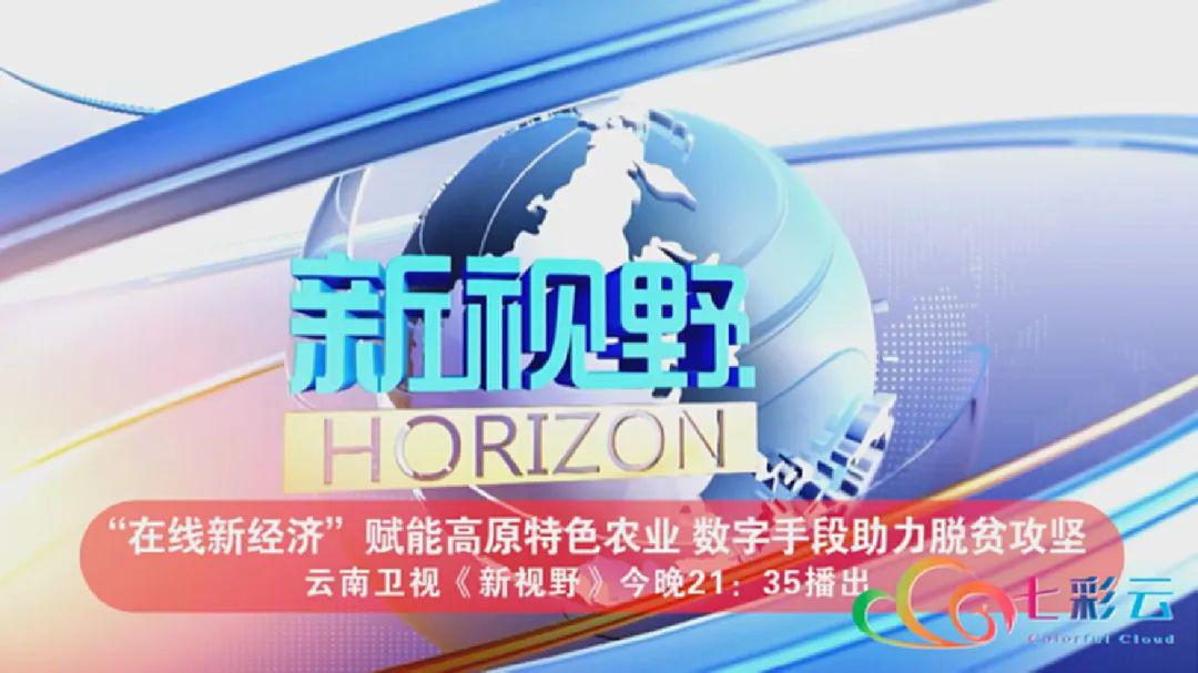 探寻新奥彩今晚开奖的神秘之旅，揭秘查询表背后的故事新奥彩今天晚上开奖结果查询表香港开什么