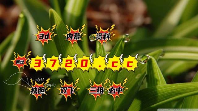 河北燕赵福彩20选5走势图，数字背后的奥秘与期待河北福彩20选5走势图(燕赵风采20选5走势图)