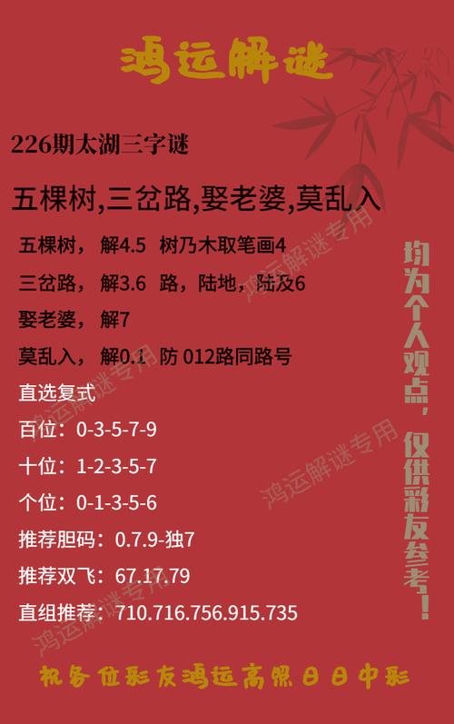 排三双字谜，传统文化的智慧结晶与现代娱乐的完美融合排三双双字谜字迷