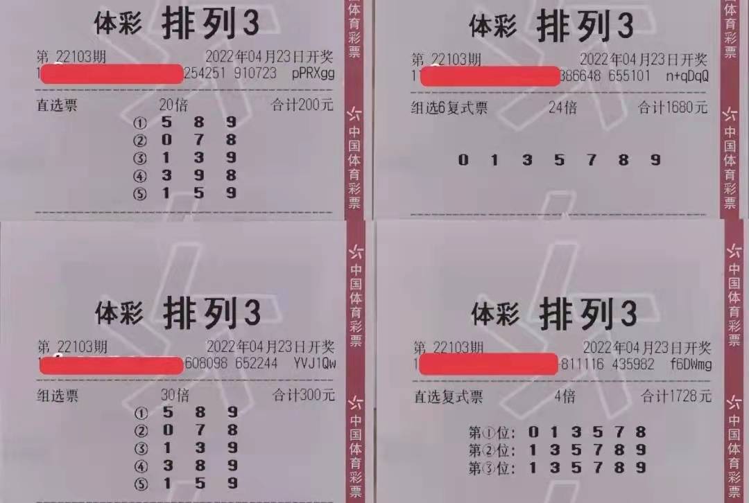 排列五今日试机号查询结果揭秘，数字游戏中的智慧与机遇排列五今天试机号查询结果视频