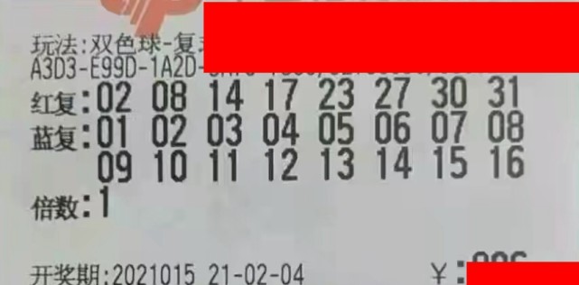 2046期双色球，梦想与幸运的碰撞2022年46期双色球开奖结果查询