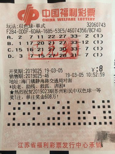 2013年双色球第5期开奖揭秘，幸运数字背后的故事2013028期双色球开奖号
