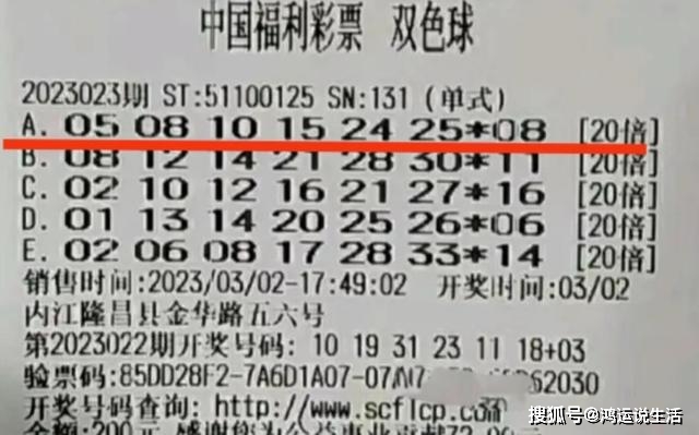 彩票双色球32期中奖查询，揭秘数字背后的幸运与期待双色球32期中奖情况