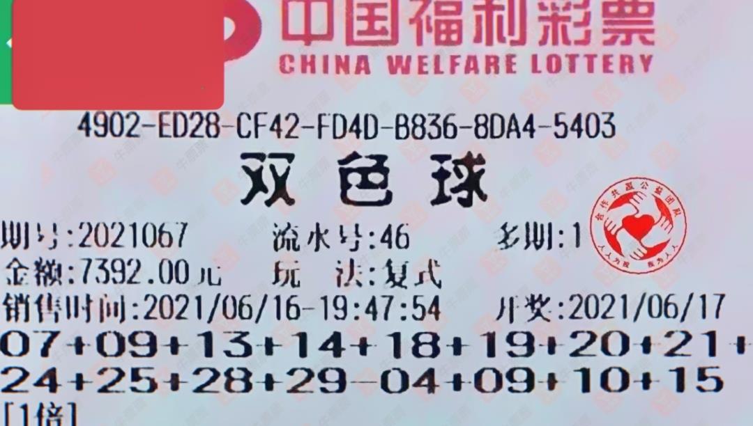 探索中国福利双色球20135期，梦想与机遇的交汇中国福利双色球查询结果