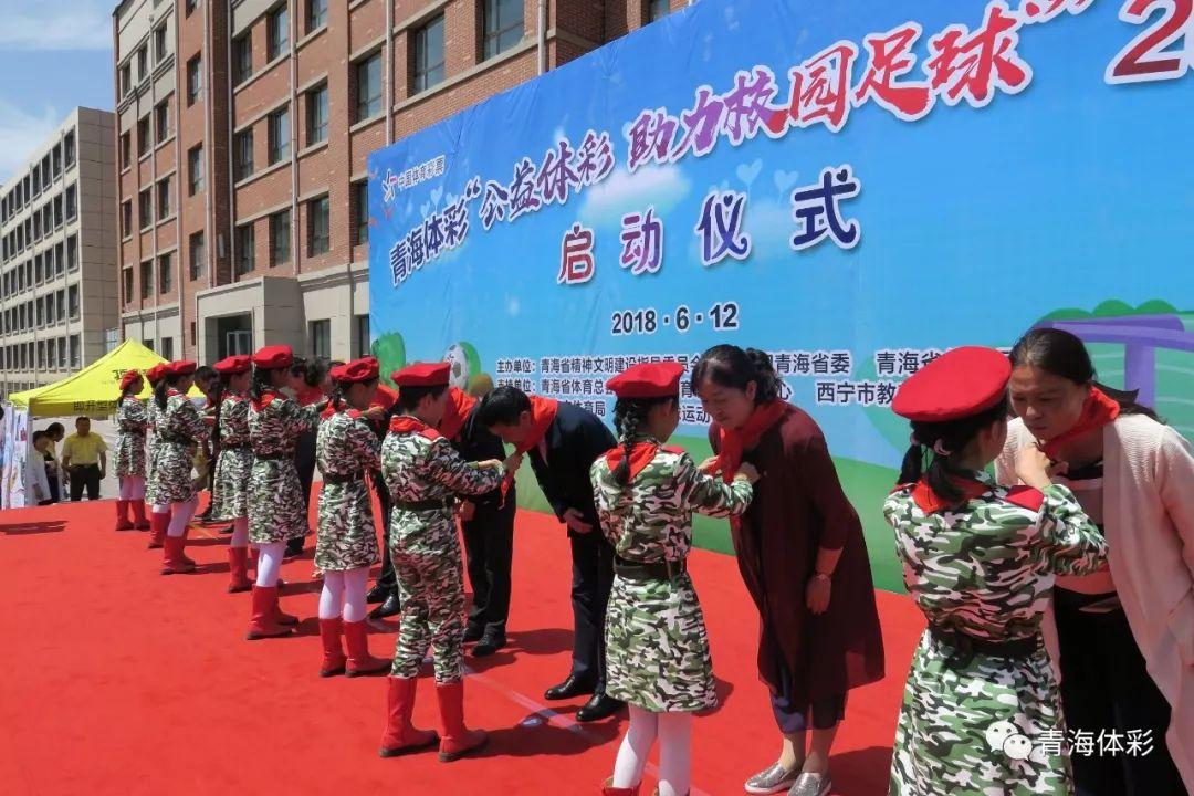 浙江风采走势图大乐透，探寻数字背后的奥秘与希望浙江风采走势图大乐透开奖号码