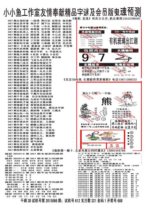 探索彩圣图谜，小鱼工作室的正版之旅3d小鱼工作室彩图