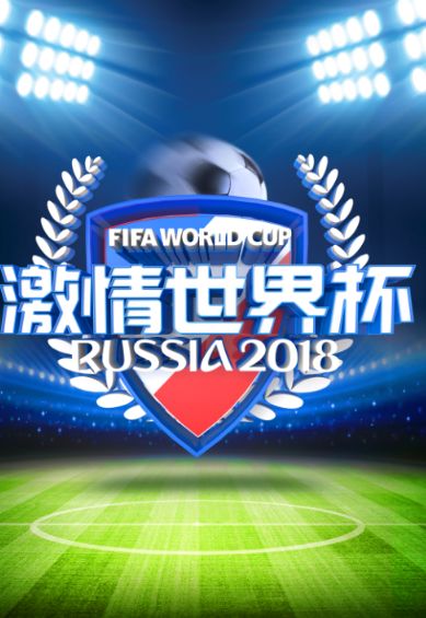 2018年世界杯全程回放，激情与梦想的盛宴2022年世界杯全程回放视频