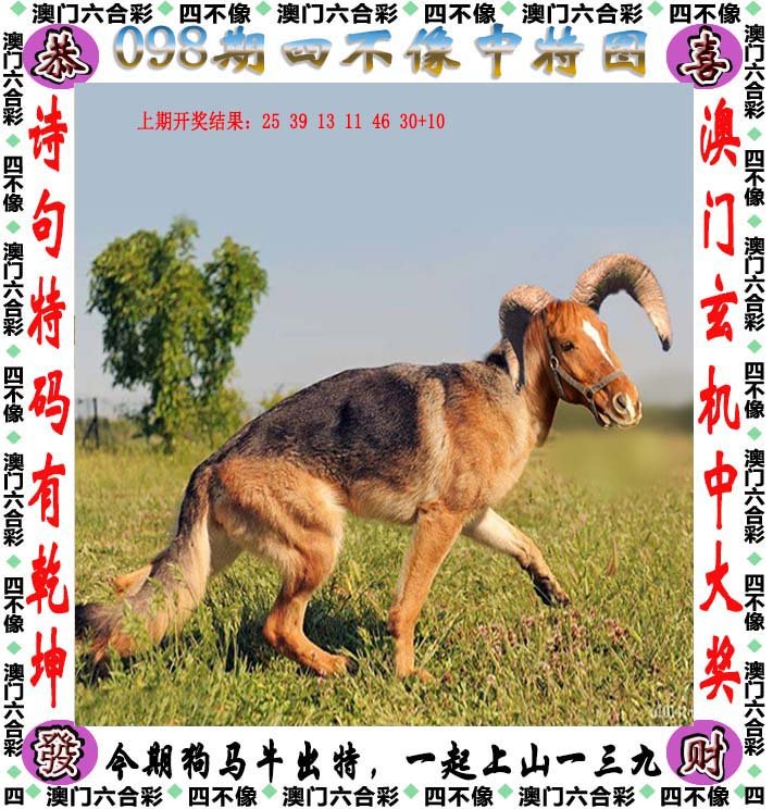今期四不像，今晚精准预测，揭秘数字背后的玄机今晚四不像最准确一肖