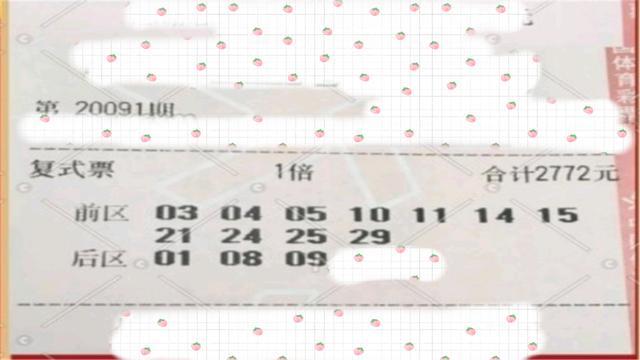 探索体彩大乐透复式票，价格与策略的深度解析体彩大乐透复式票价格表查询最新